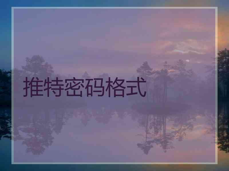 推特密码格式