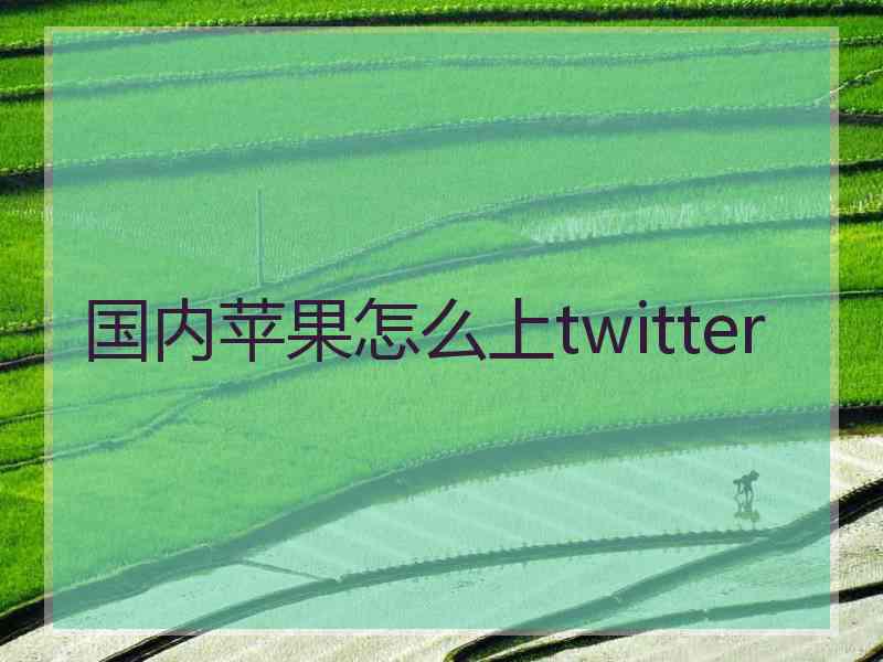 国内苹果怎么上twitter