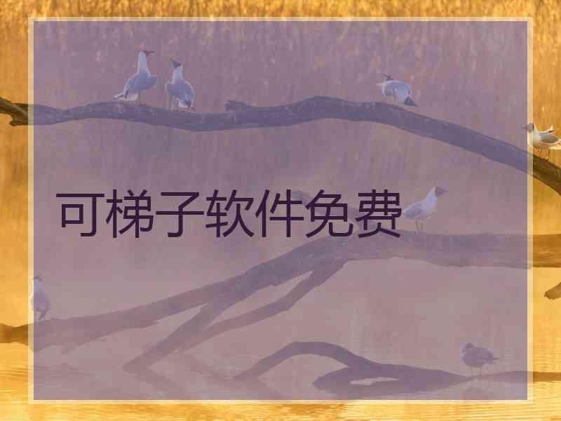 可梯子软件免费