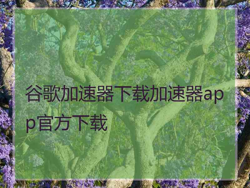 谷歌加速器下载加速器app官方下载