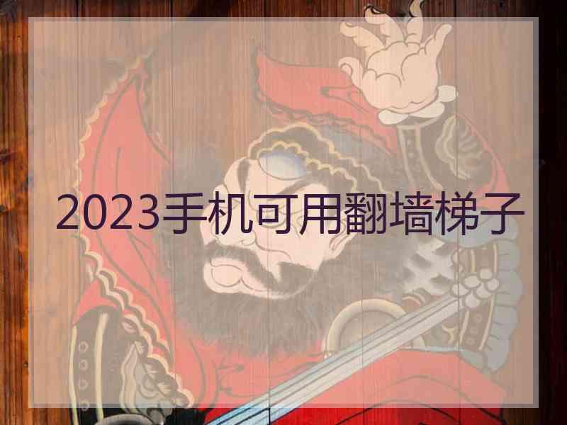 2023手机可用翻墙梯子