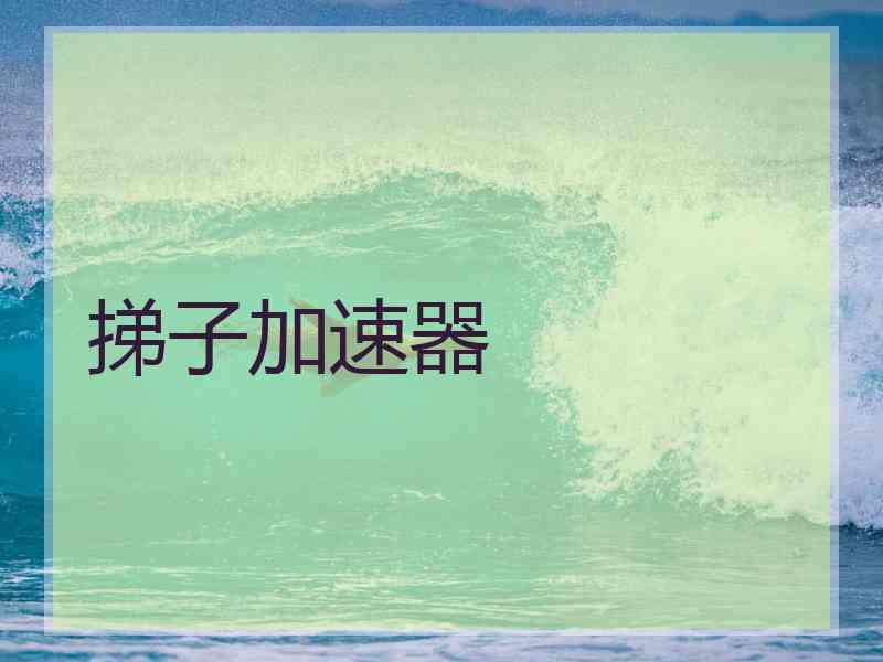 挮子加速器