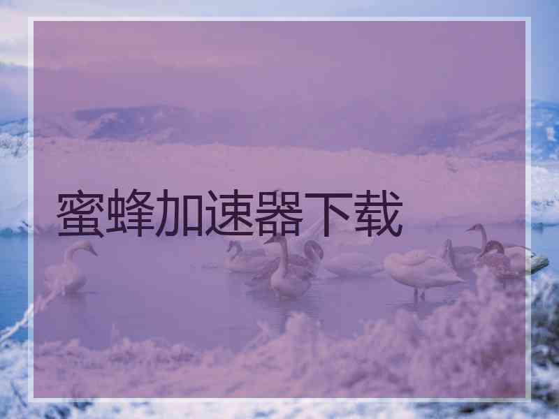 蜜蜂加速器下载