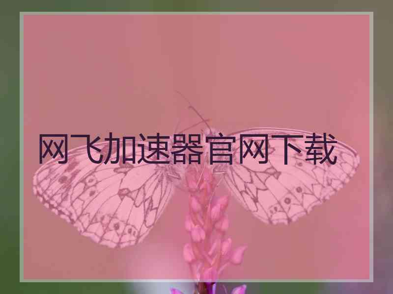 网飞加速器官网下载