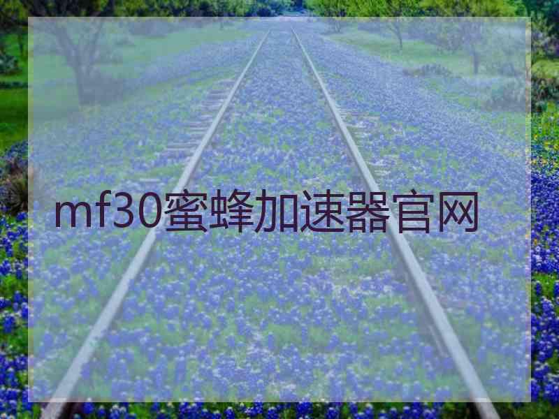 mf30蜜蜂加速器官网