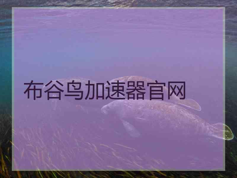 布谷鸟加速器官网