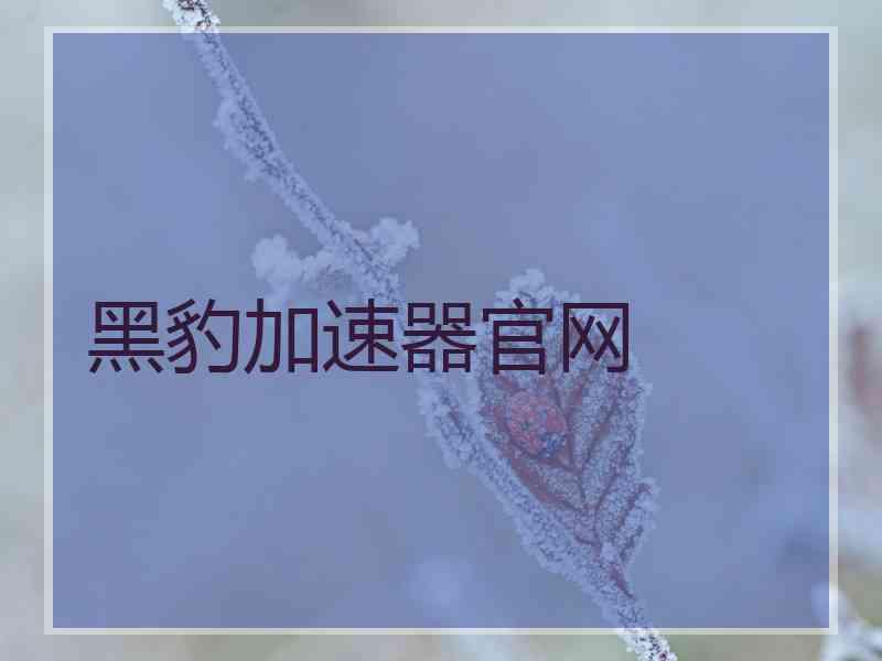 黑豹加速器官网