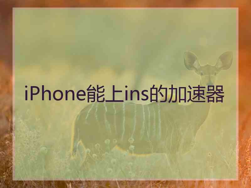 iPhone能上ins的加速器