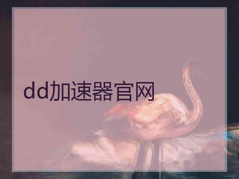 dd加速器官网