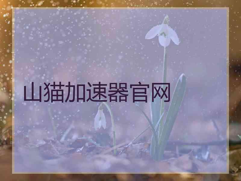 山猫加速器官网