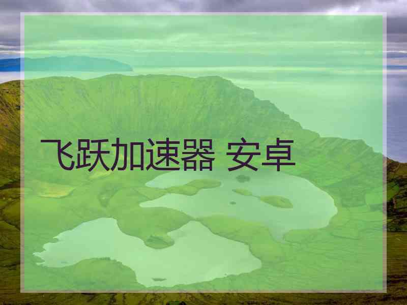 飞跃加速器 安卓