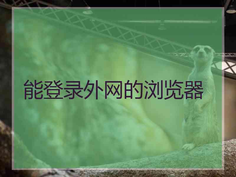 能登录外网的浏览器