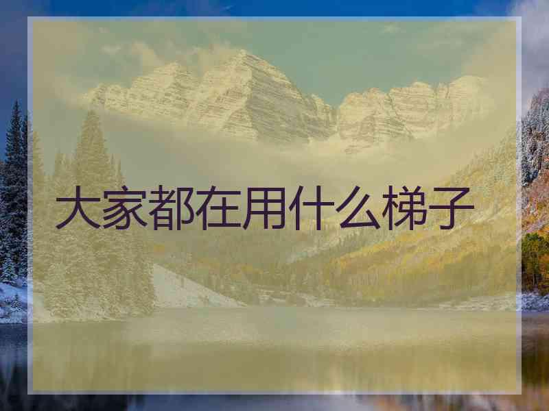 大家都在用什么梯子