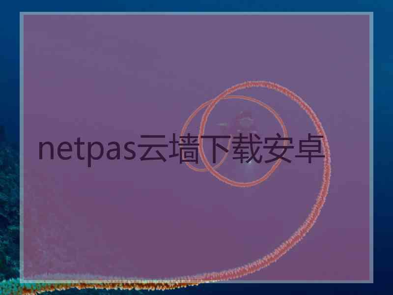 netpas云墙下载安卓