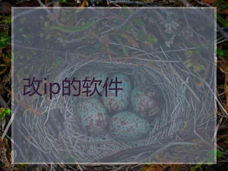 改ip的软件
