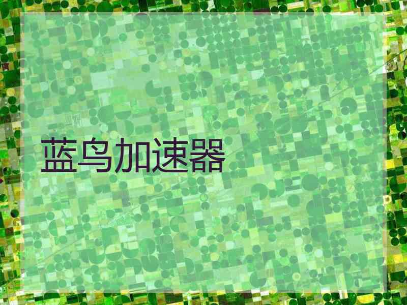 蓝鸟加速器