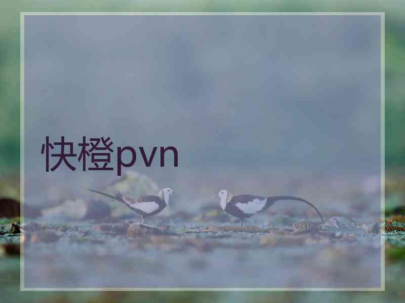 快橙pvn