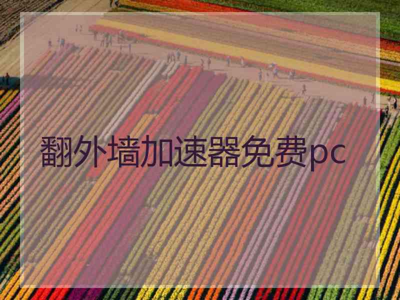 翻外墙加速器免费pc