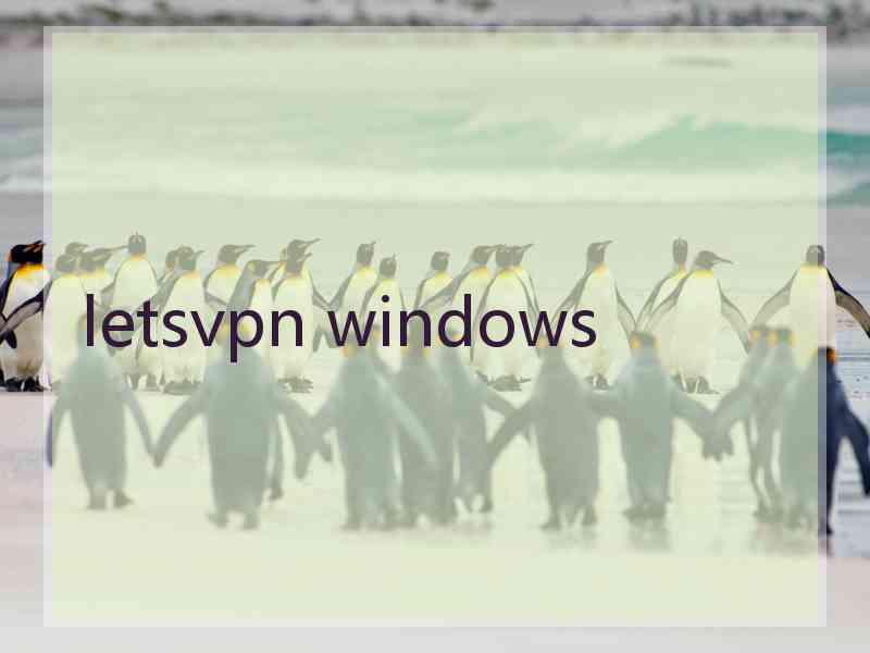 letsvpn windows