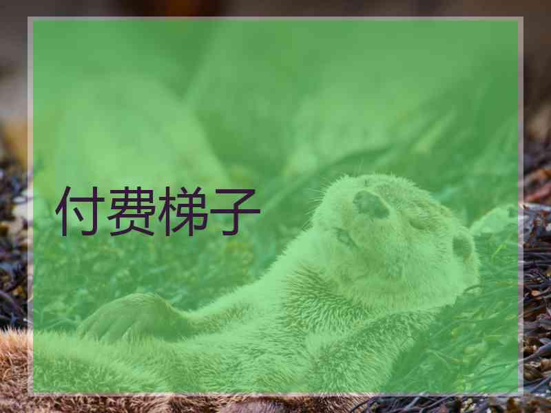 付费梯子