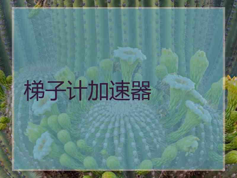 梯子计加速器