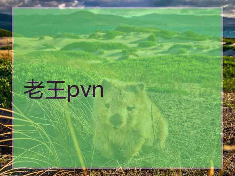 老王pvn