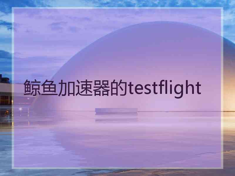 鲸鱼加速器的testflight