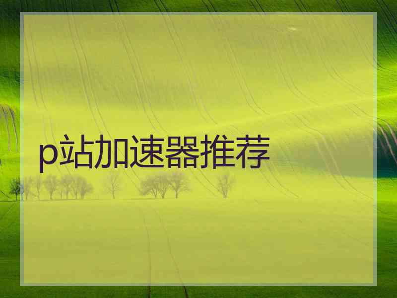 p站加速器推荐