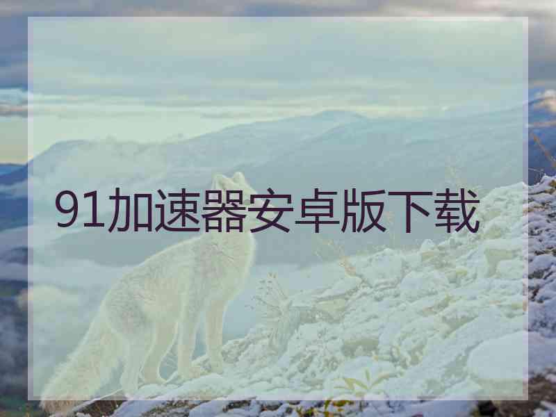 91加速器安卓版下载