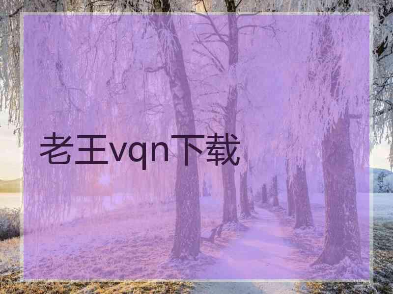 老王vqn下载