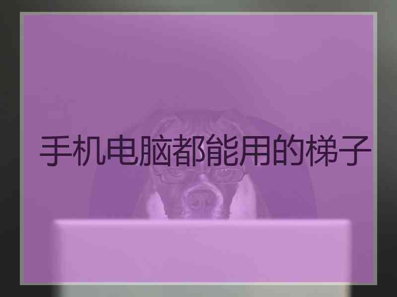 手机电脑都能用的梯子