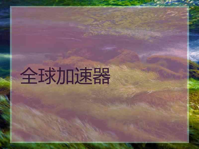 全球加速器