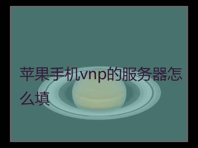 苹果手机vnp的服务器怎么填