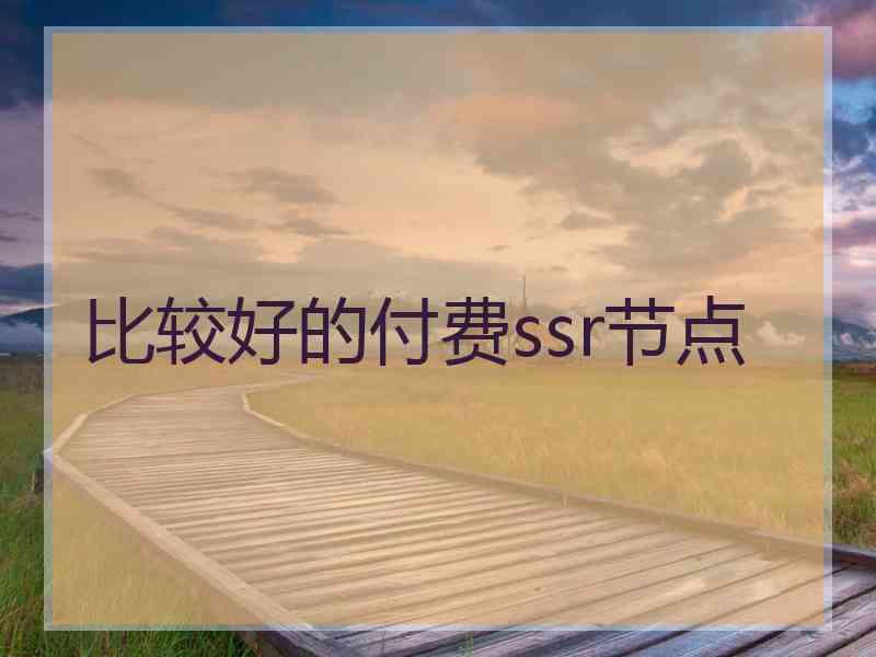 比较好的付费ssr节点