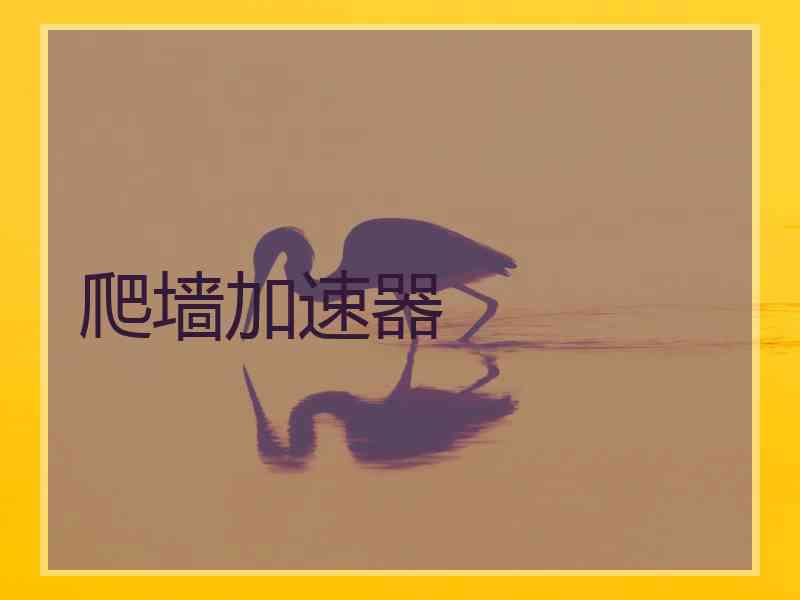 爬墙加速器
