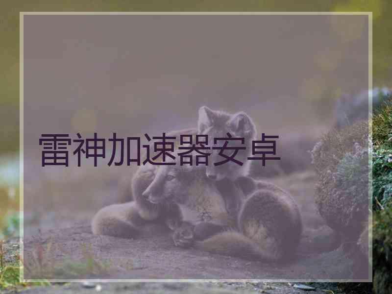雷神加速器安卓
