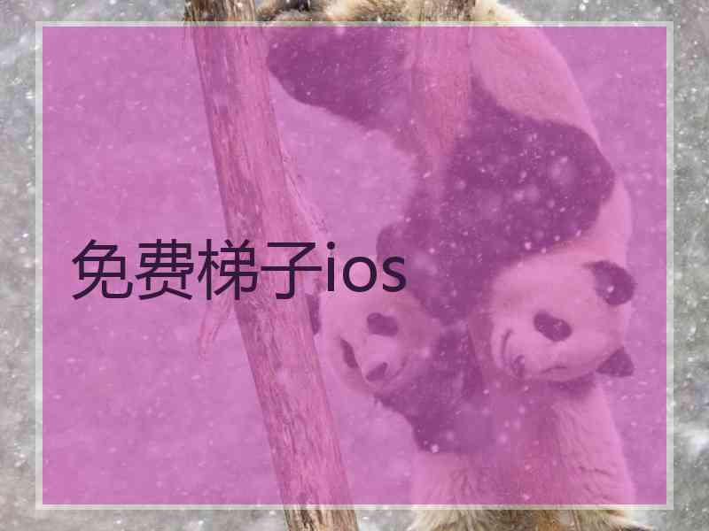 免费梯子ios