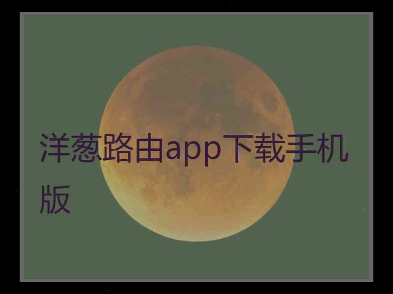洋葱路由app下载手机版