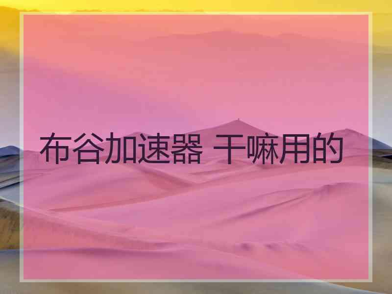 布谷加速器 干嘛用的