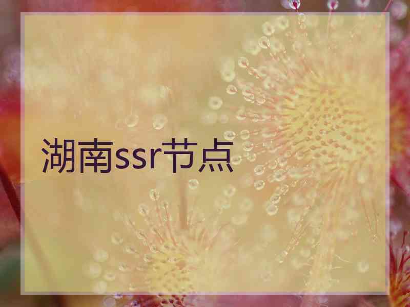 湖南ssr节点