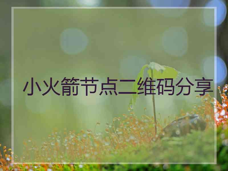 小火箭节点二维码分享