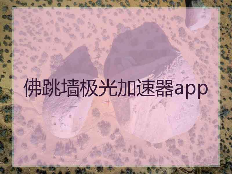 佛跳墙极光加速器app