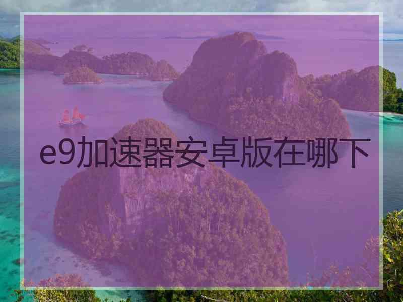 e9加速器安卓版在哪下