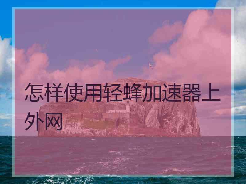 怎样使用轻蜂加速器上外网