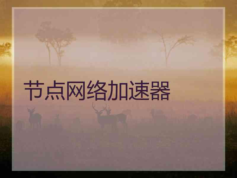 节点网络加速器