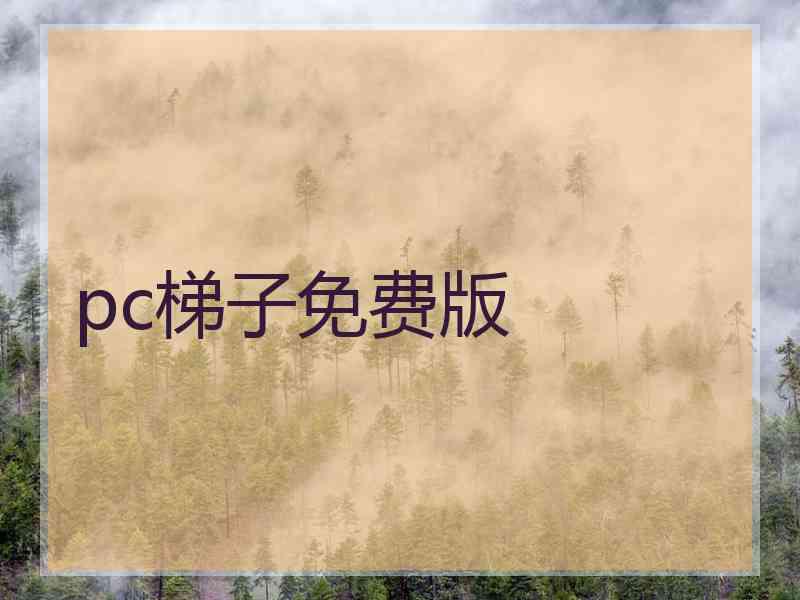 pc梯子免费版