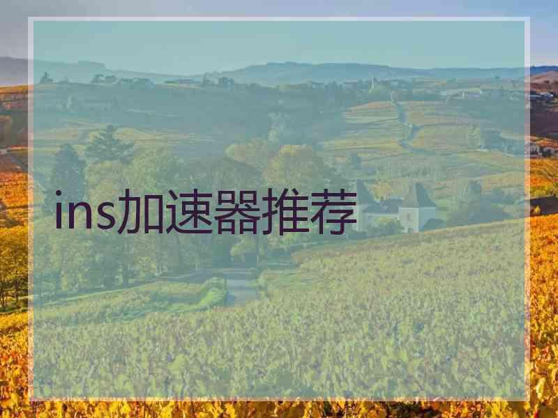 ins加速器推荐