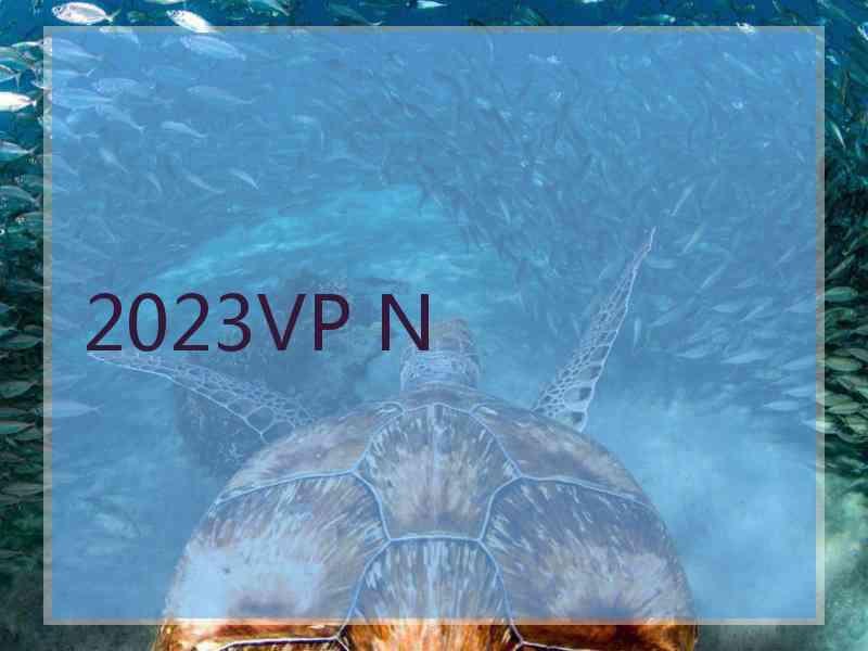 2023VP N
