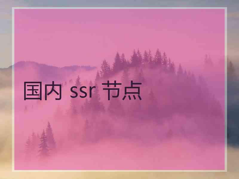 国内 ssr 节点