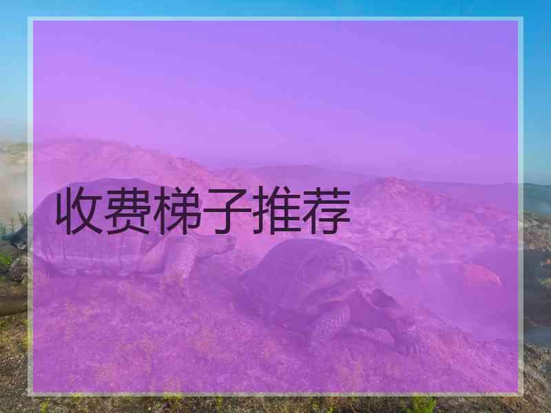 收费梯子推荐